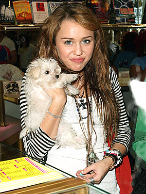 Miley Cyrus celebrity news flash